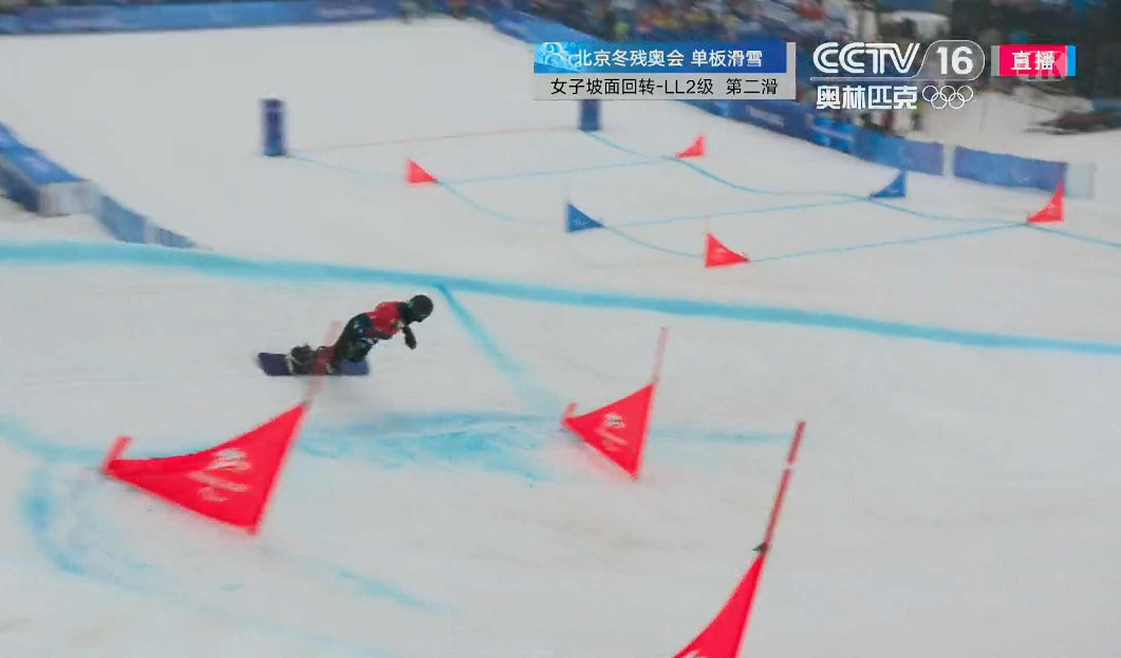 西班牙选手斩获国际比赛金牌