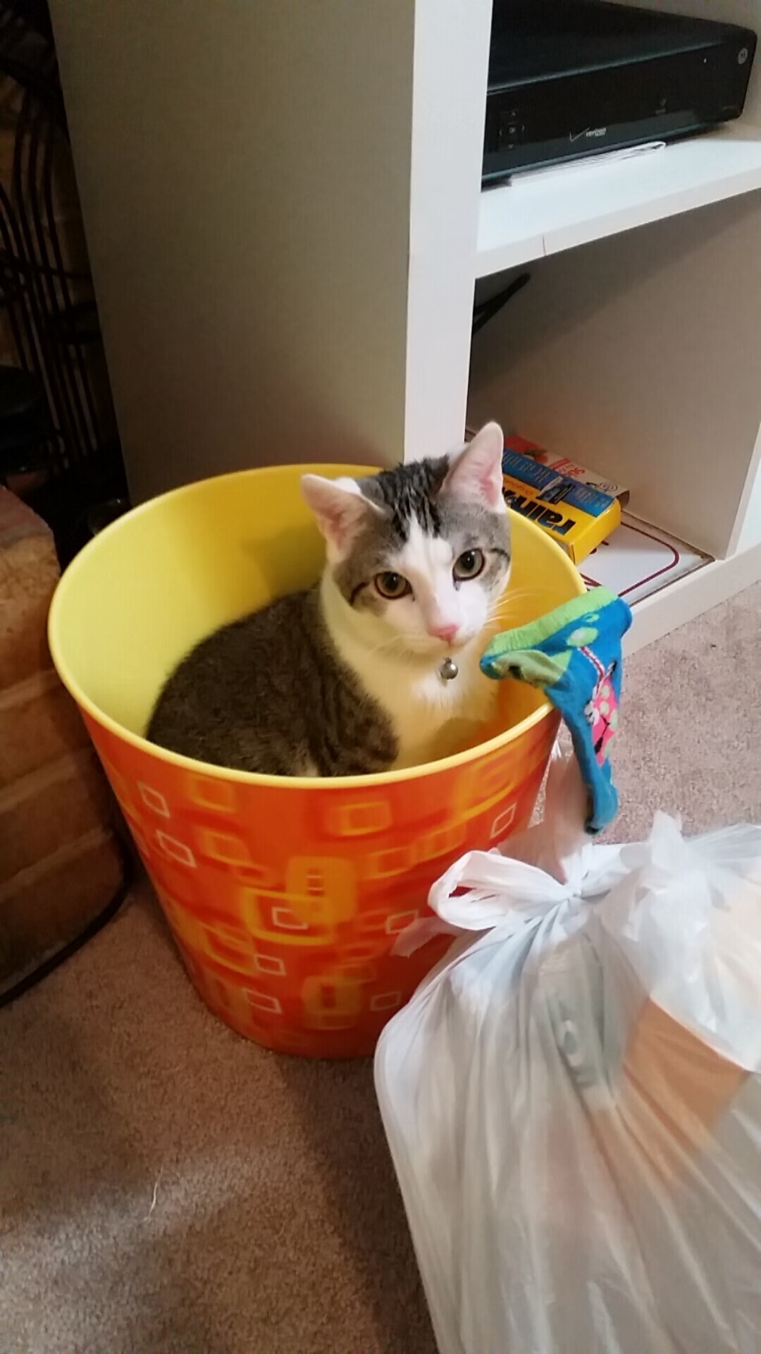 疾速狂飙，当篮球化身街道赛，小贾伦领衔逆转之夜