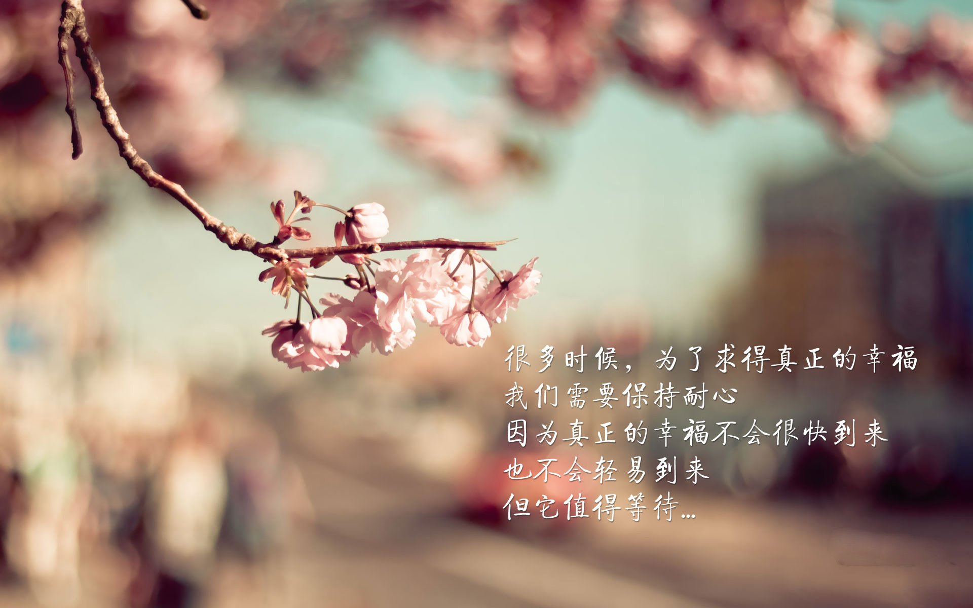 不可预测,冷门与接管,体育的冰与火之歌