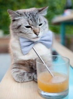 东方铁壁与孤星闪耀，当上海队将命运攥在自己手中