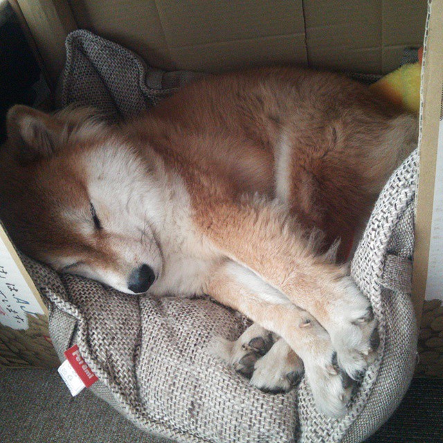 欧冠淘汰赛之夜，无声领袖奥亚尔萨瓦尔，如何凭一粒进球统治全场？