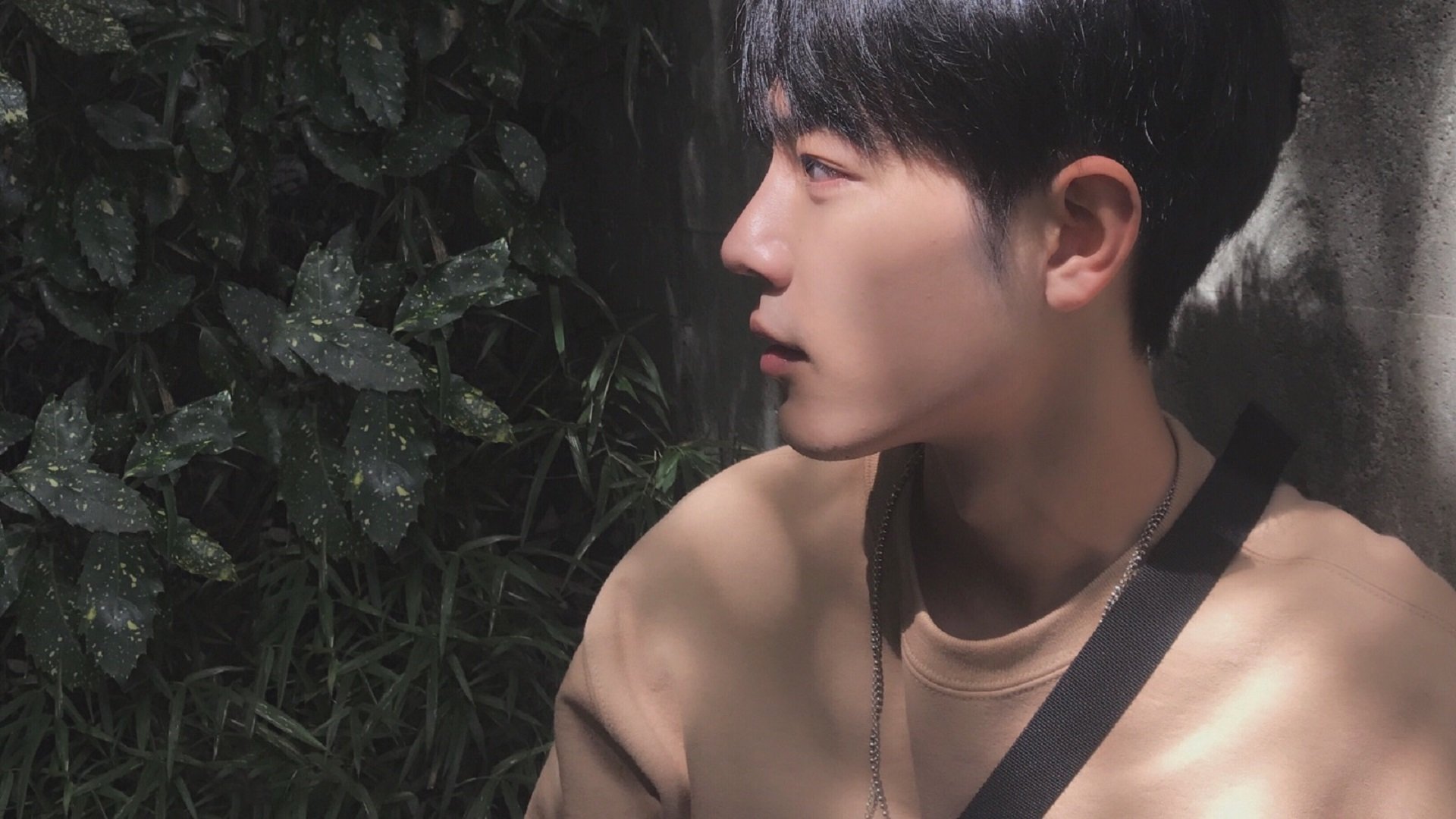 跨洋对决，凯尔特人vs吉林队，莫兰特赛后评分拉满