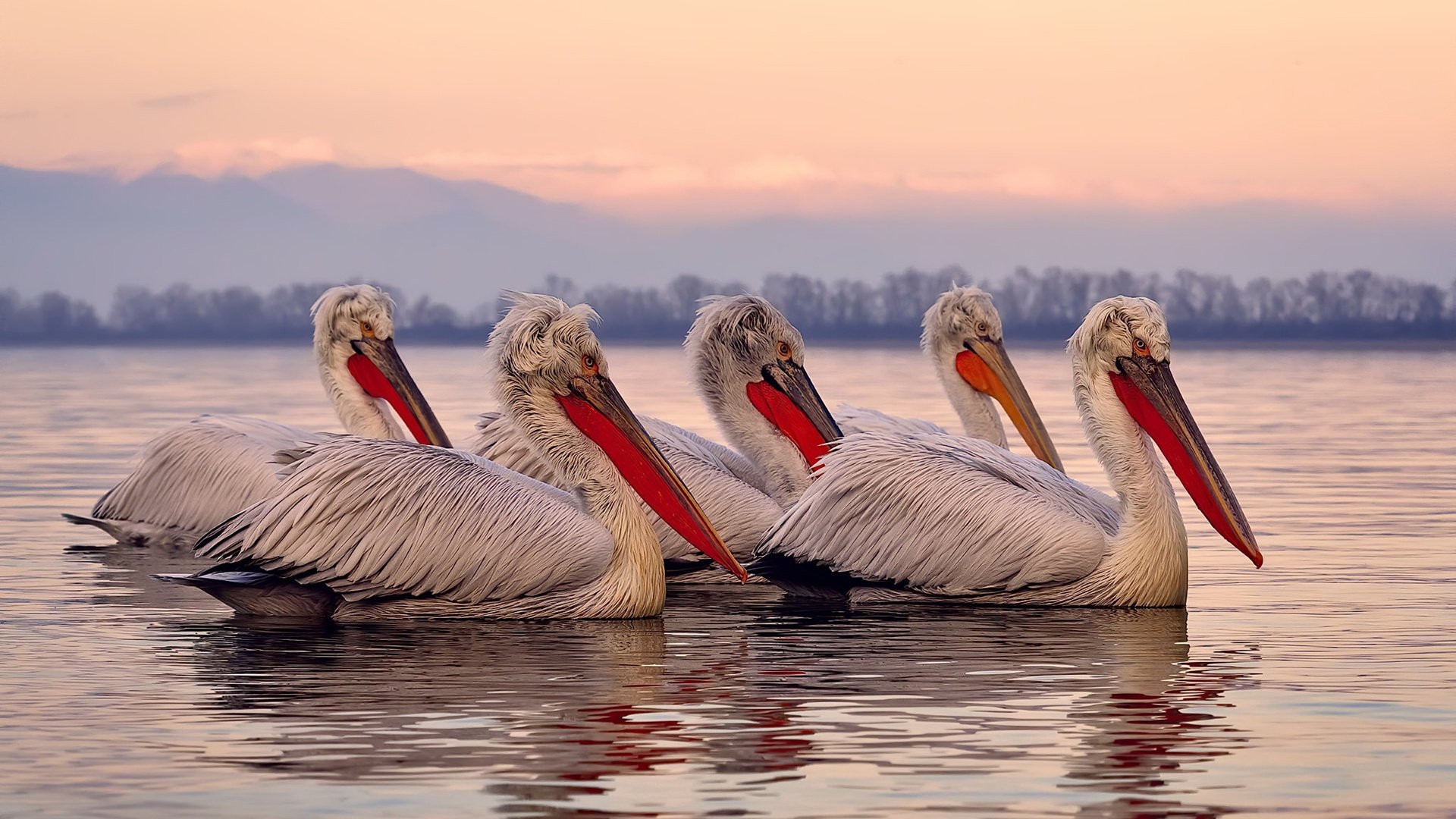 从平凡到非凡,范弗利特如何掘金强行终结太阳