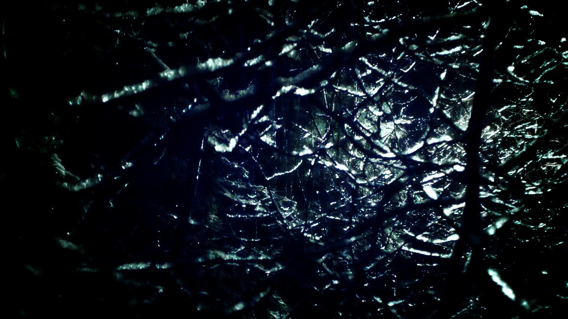 文班亚马统治攻防,国王轻取尼克斯