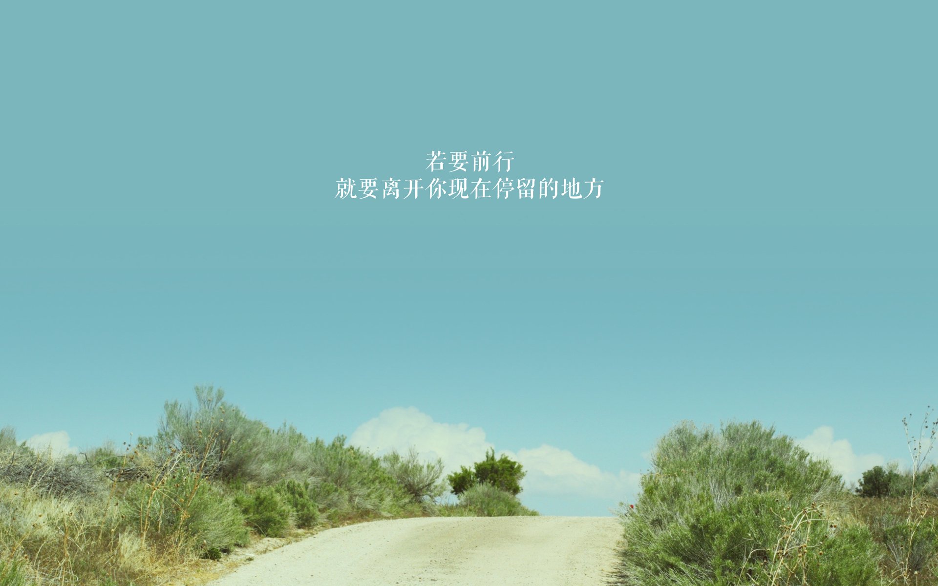 赛道硝烟与绿茵风暴，F1年度争冠与爱尔兰足球胜利背后的竞技灵魂