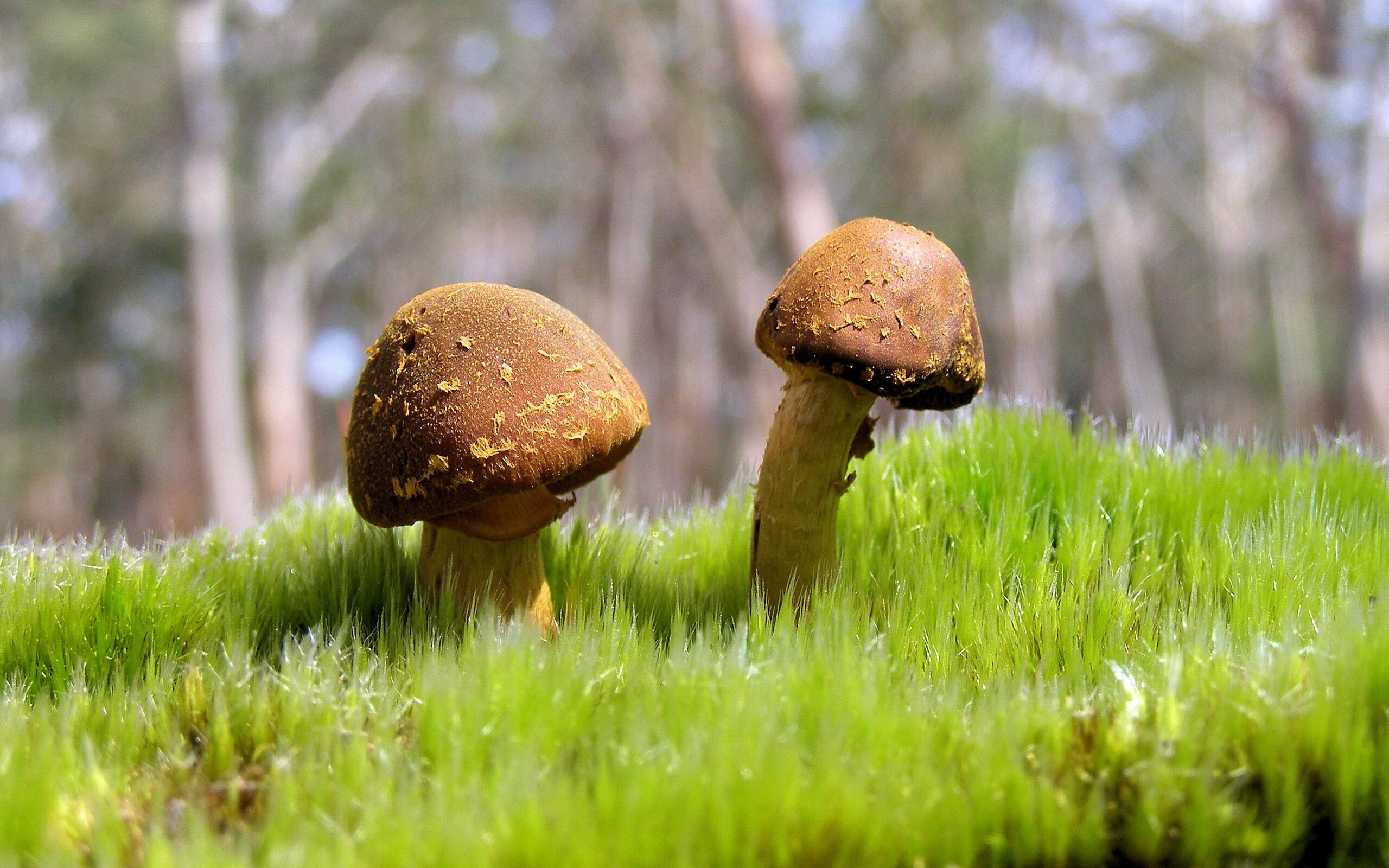 记忆的玩笑，当比利亚雷亚尔在欧冠半决赛击败马里