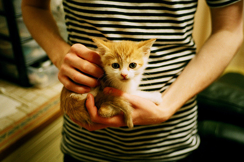 攻防统治！努涅斯燃爆全场，勒沃库森力克多特蒙德