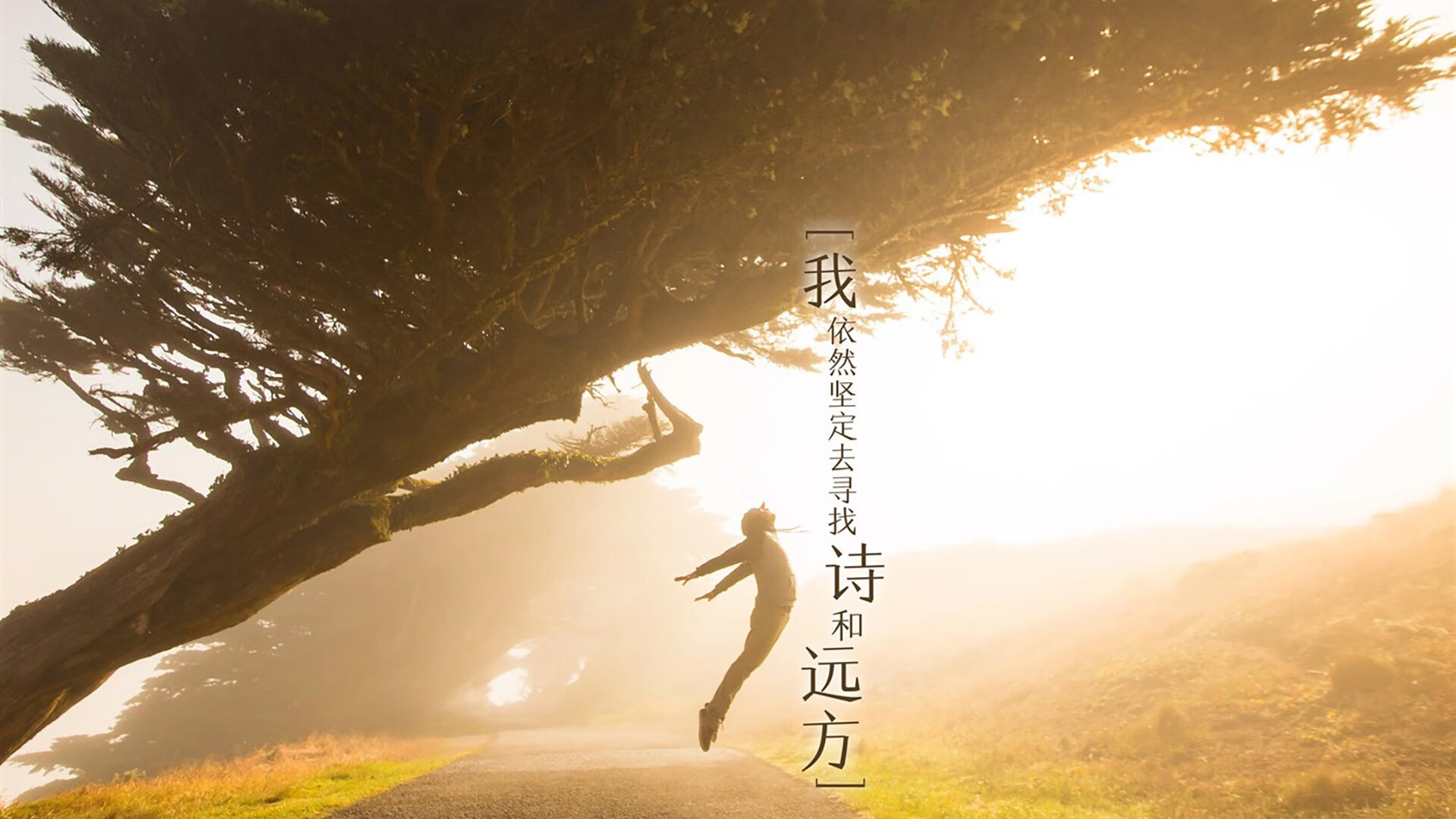 教科书级的救赎,孙兴慜在热刺抢七夜的破茧成蝶