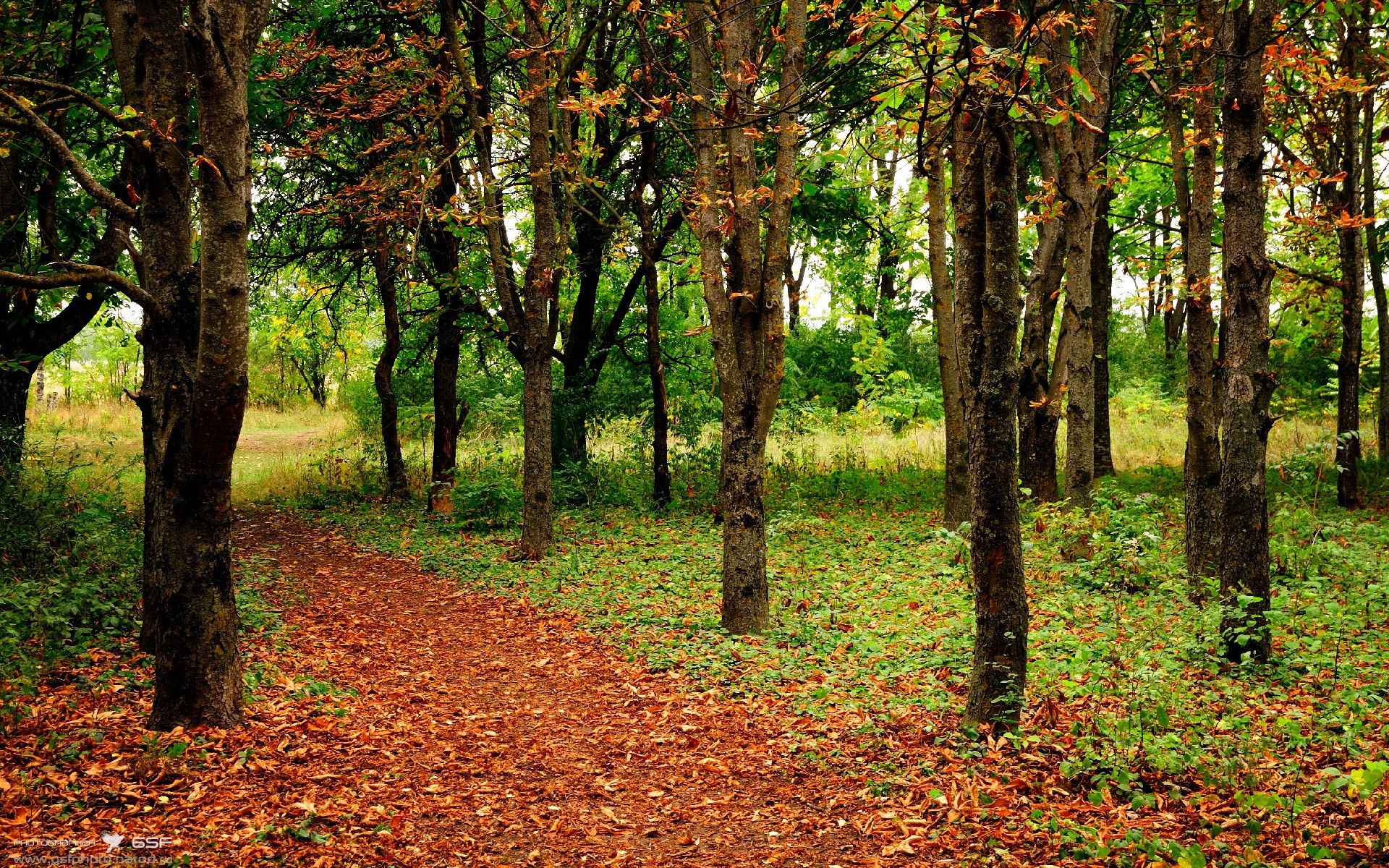 北欧冰刀斩落东瀛精密机械，厄德高一剑封喉