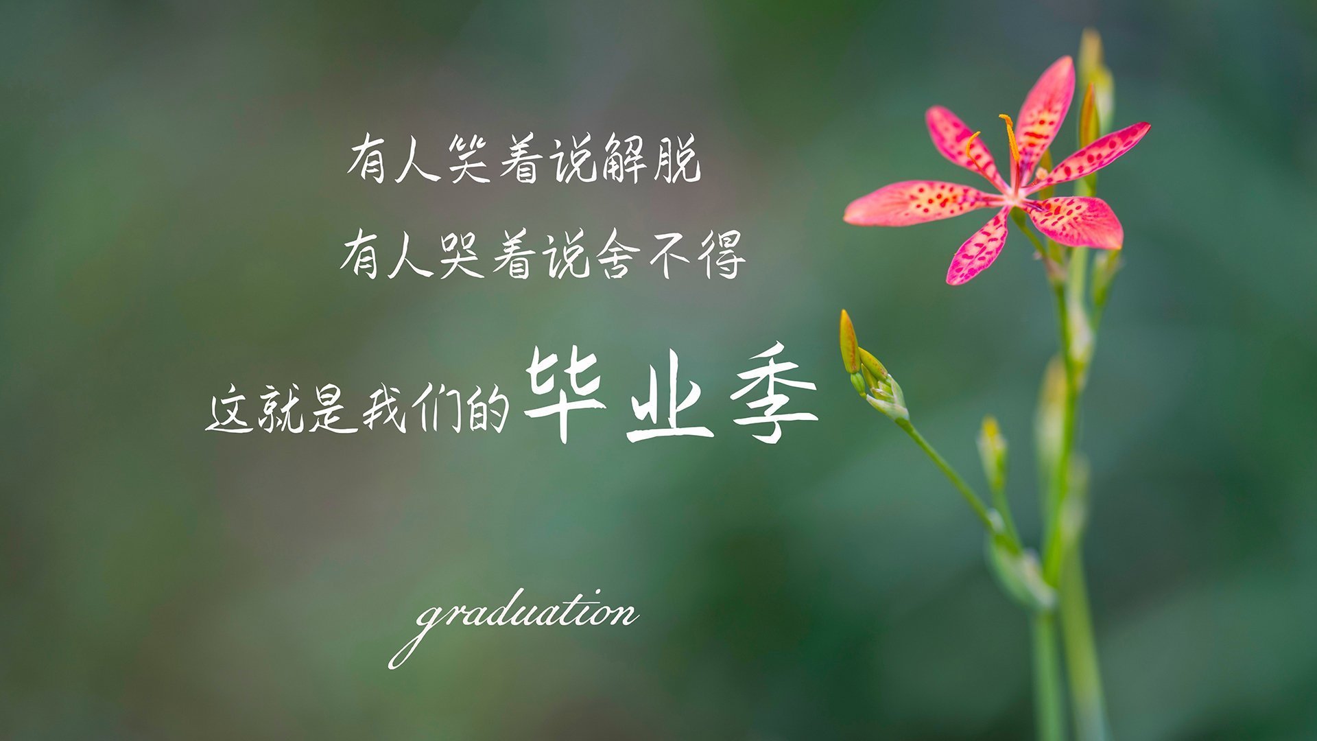 世俱杯参赛资格-南美雄鹰翱翔云霄，世界杯争冠战强强对话，秘鲁力克芬兰，内马尔闪耀全场
