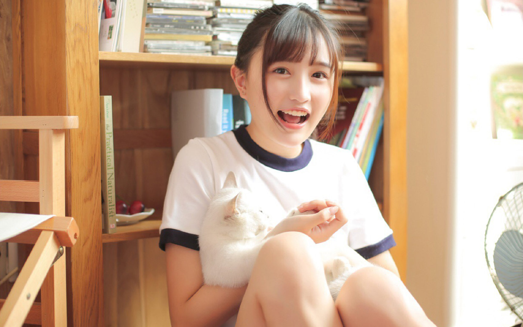 高卢雄鸡踏碎桑巴舞步，2026世界杯D组，法国碾压巴西演绎完美复仇